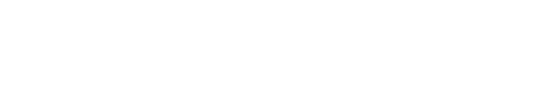 InsureView